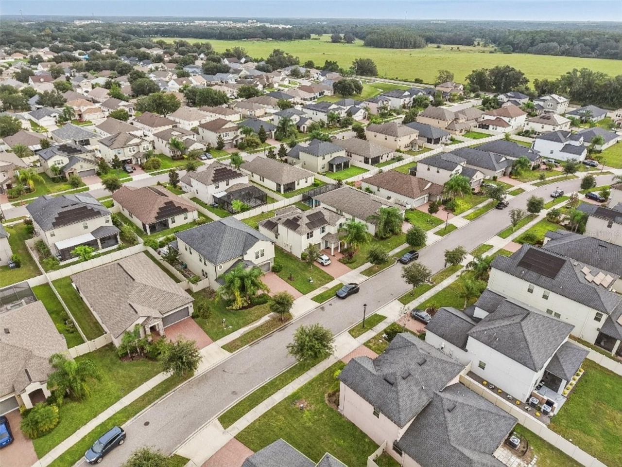 24928 Lambrusco Loop, Lutz, FL 33559 Photo