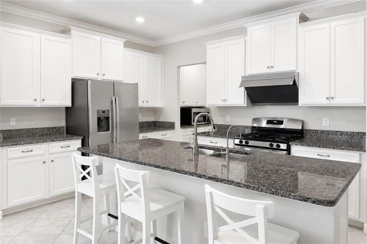 24928 Lambrusco Loop, Lutz, FL 33559 Photo