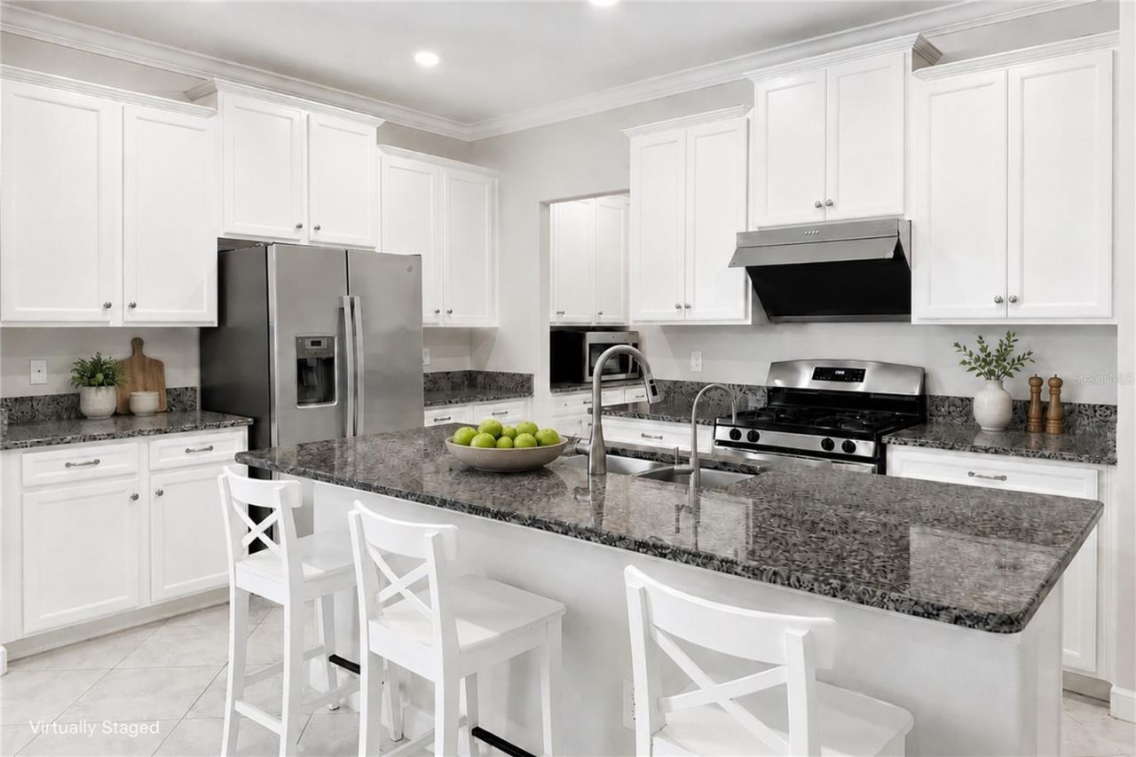 24928 Lambrusco Loop, Lutz, FL 33559 Photo