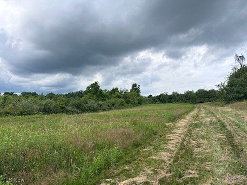 1933 State Route 45, Austinburg, OH 44010 Photo 3