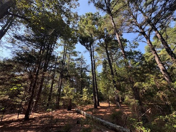 TBD FM 69, Unit Tract 2, Como, TX 75431