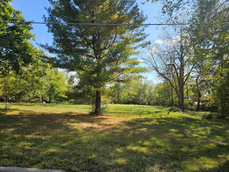 0 E High Street , Unit Tract 4, Ostrander, OH 43061 Photo 7