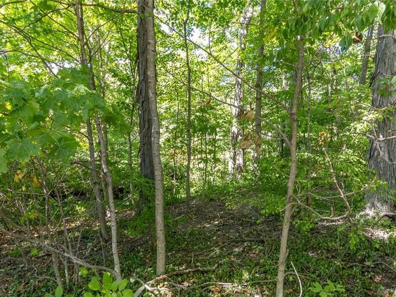 0 Hickory Drive, Greenville, OH 45331 Photo 2