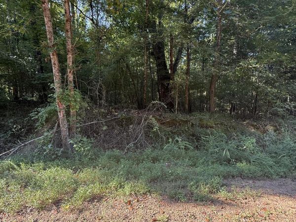 236 Hideaway Hills Rd, Coldwater, MS 38618