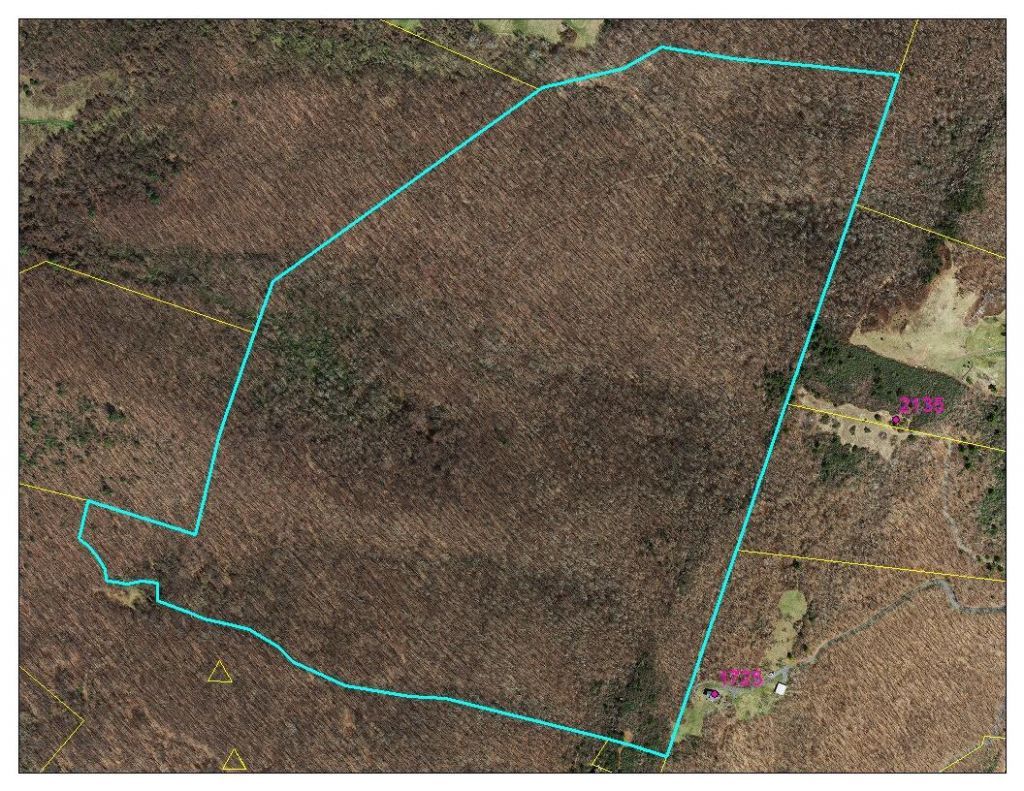 xx McGraw Gap Road , Hot Springs, VA 24445