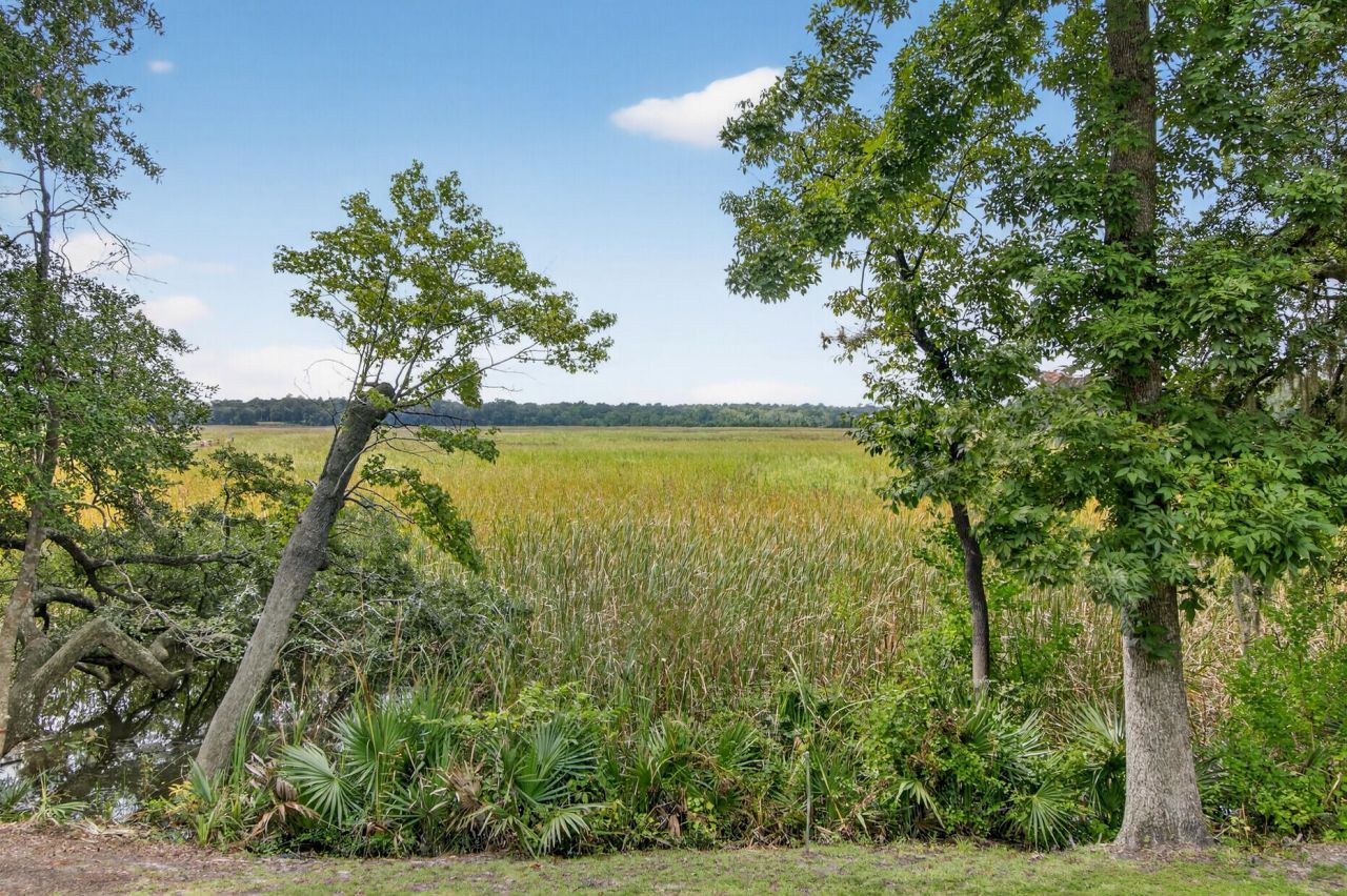 8301 Wild Indigo Photo 51