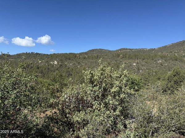 22865 S GLADIATOR MINE Road, Unit -, Crown King, AZ 86343