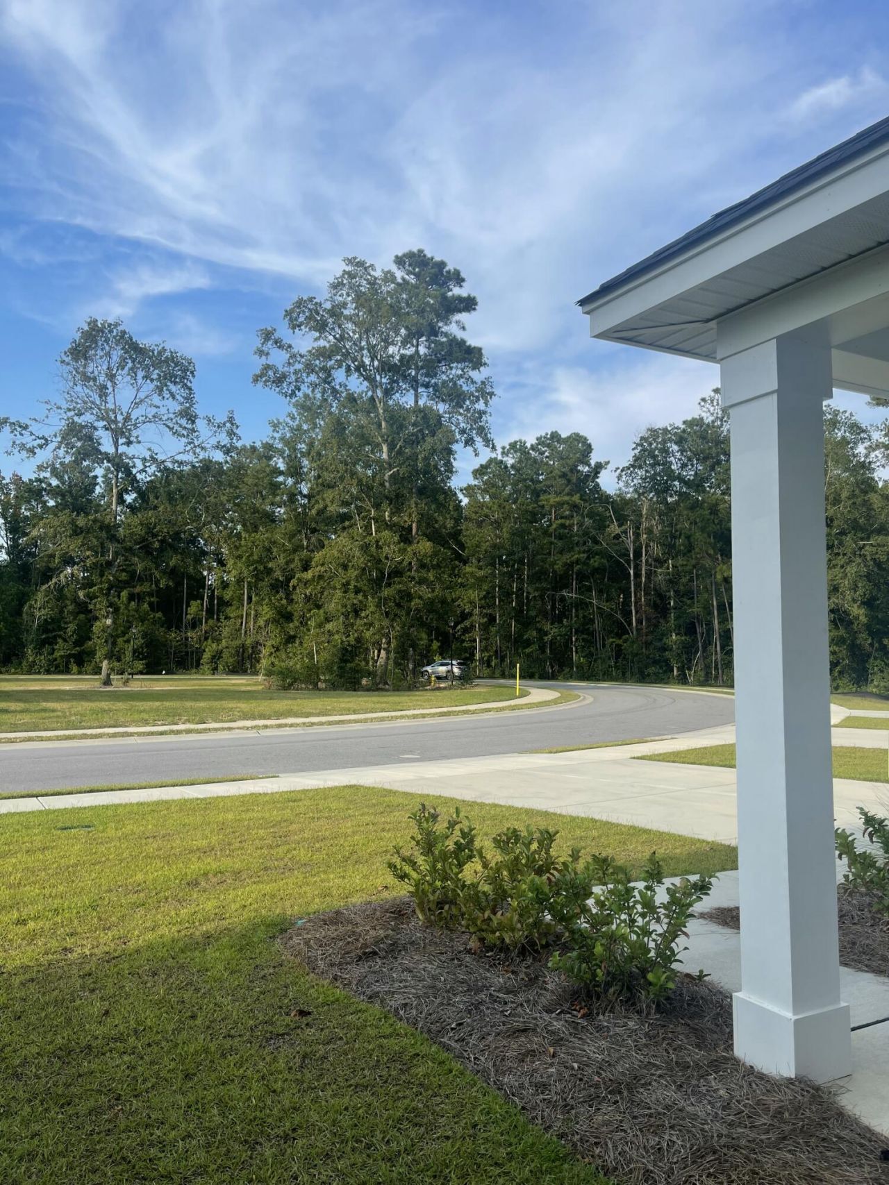 459 Green Fern Drive Photo 45