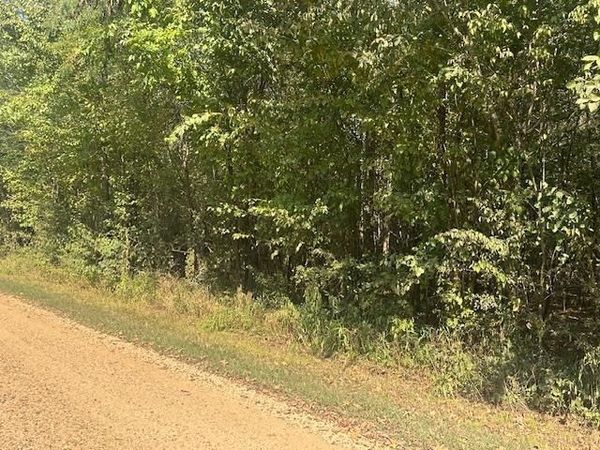 000 TOW BOAT LN, Adamsville, TN 38310