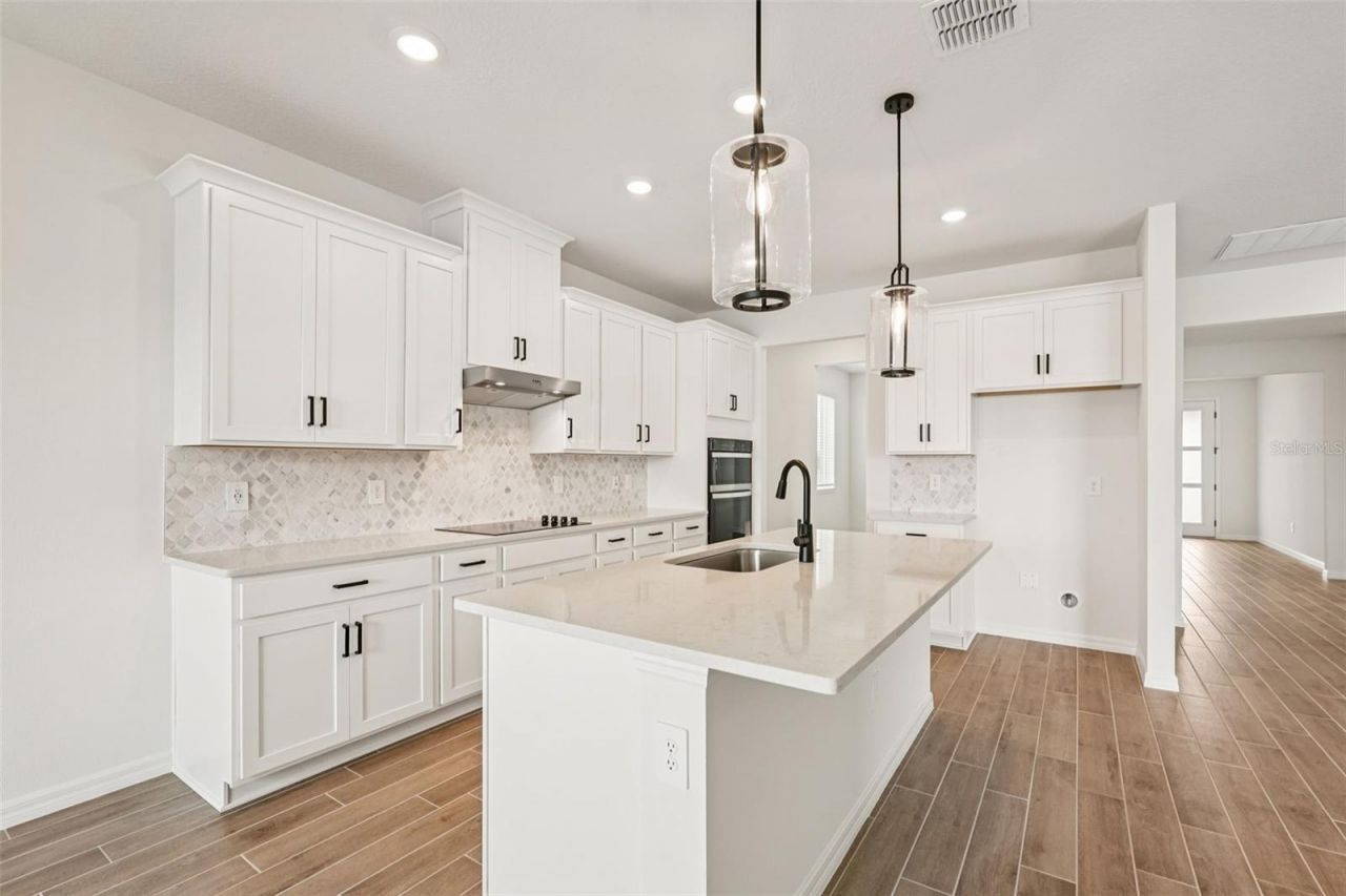 10546 Abundance Grove Way, Parrish, FL 34219 Photo