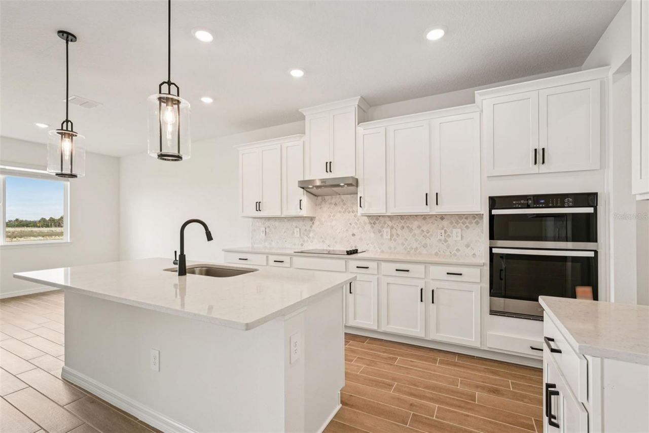 10546 Abundance Grove Way, Parrish, FL 34219 Photo