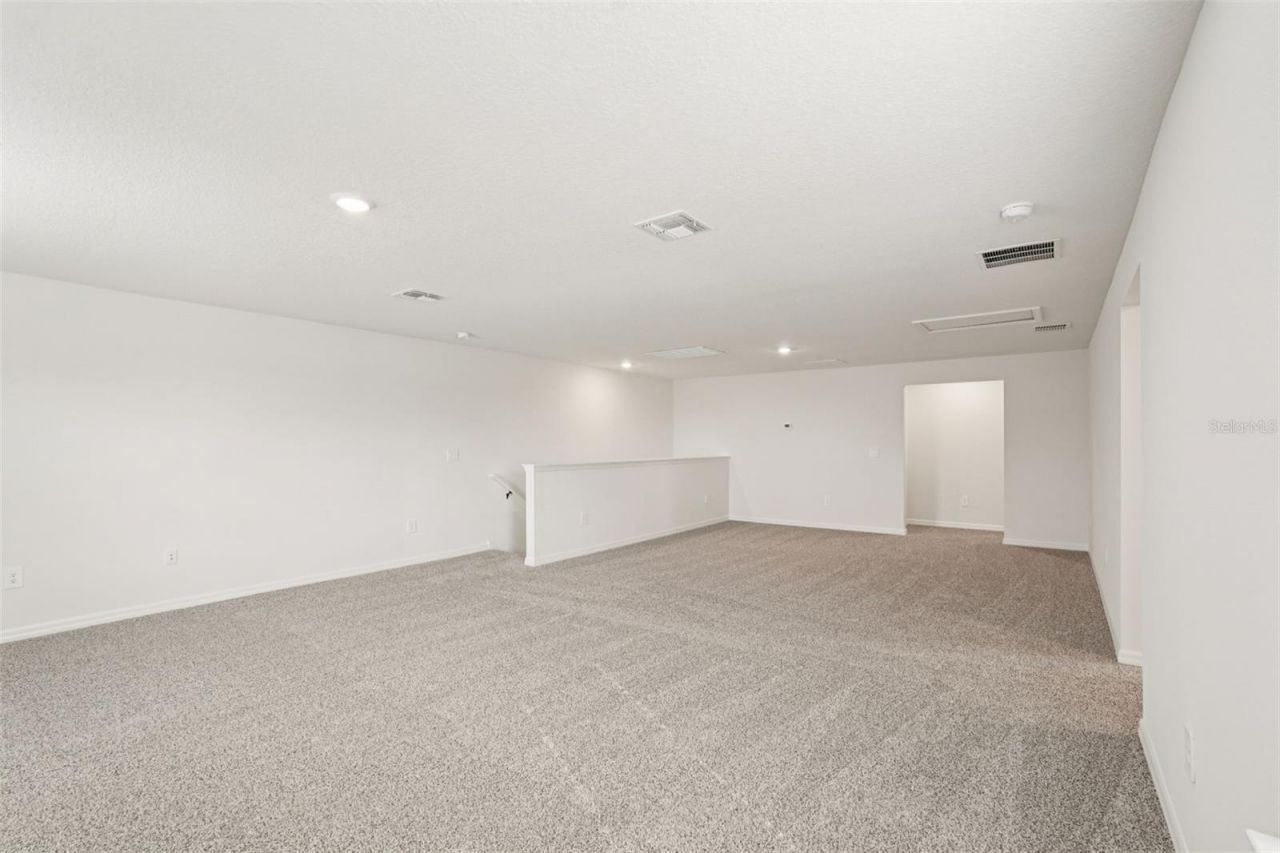 10546 Abundance Grove Way, Parrish, FL 34219 Photo