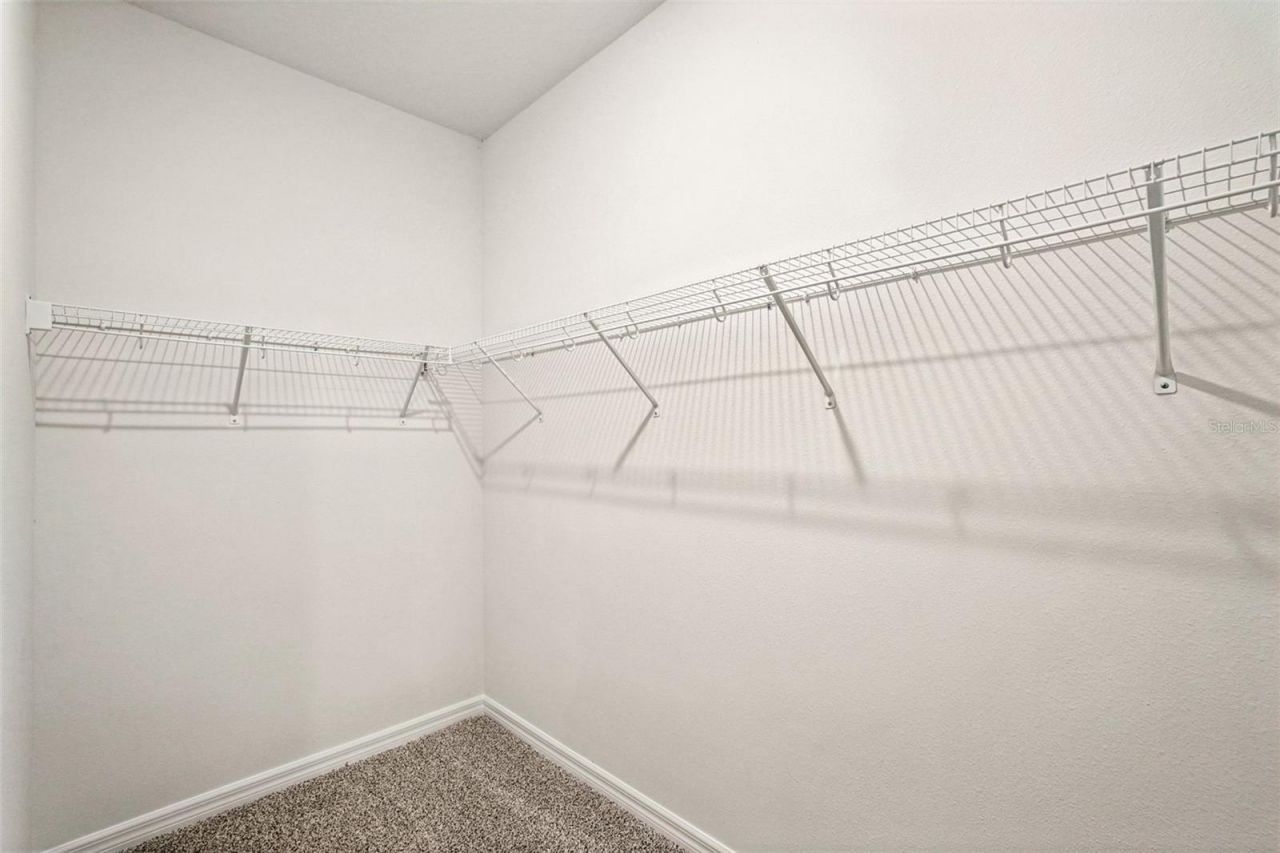 10546 Abundance Grove Way, Parrish, FL 34219 Photo