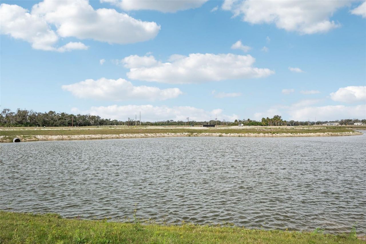 10546 Abundance Grove Way, Parrish, FL 34219 Photo