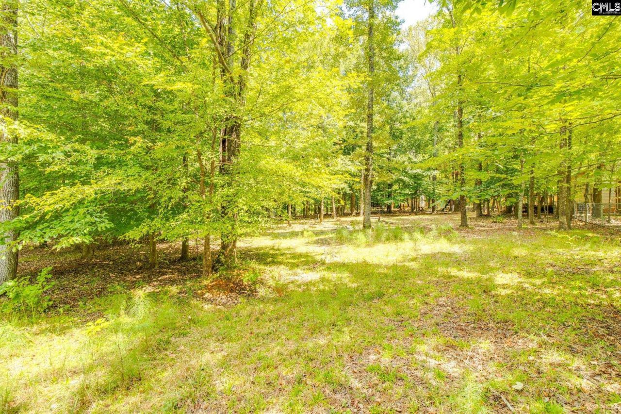 88 Running Deer Road Photo 35