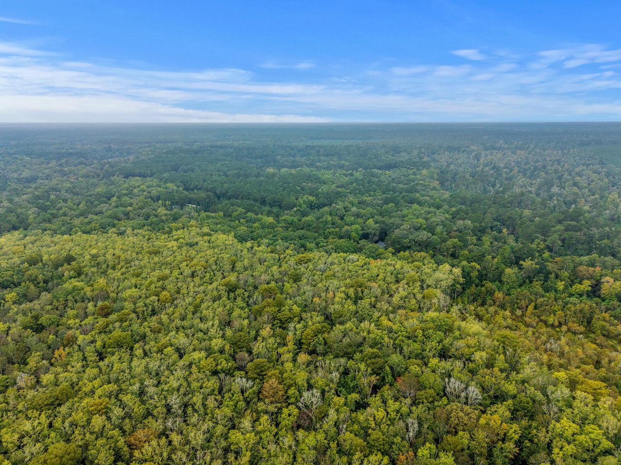 130 Marjorie Lane Photo 27