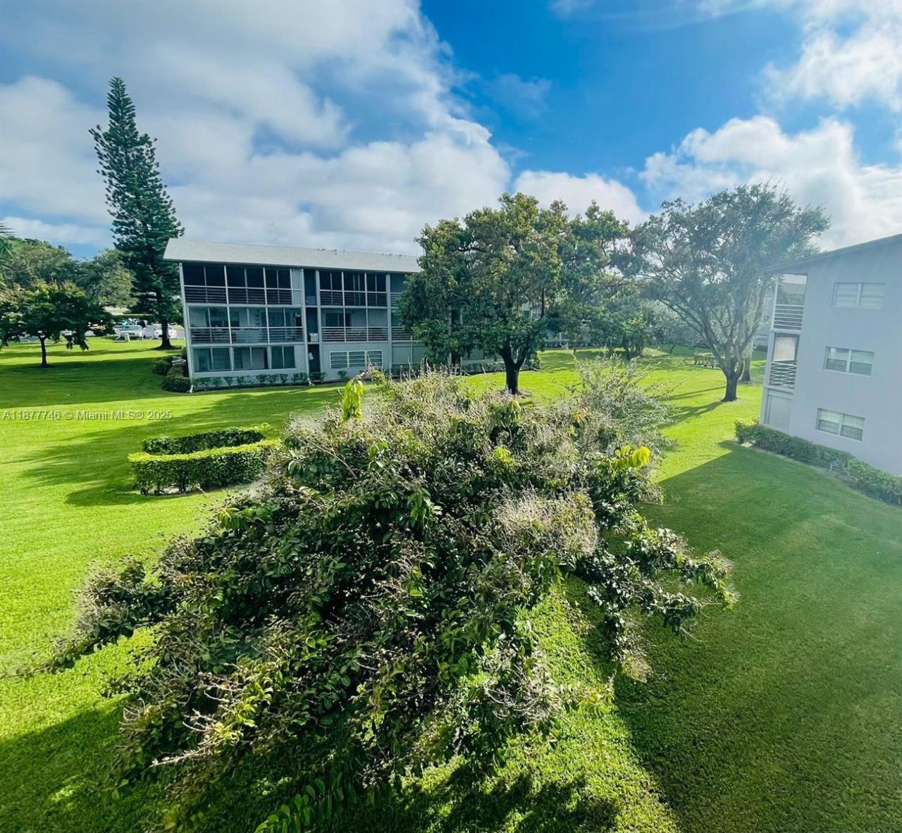 251 S Suffolk F, Unit 251, Boca Raton, FL 33434 Photo