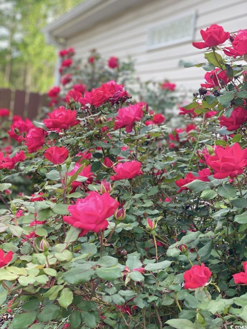 2459 Hunters Trail Photo 33