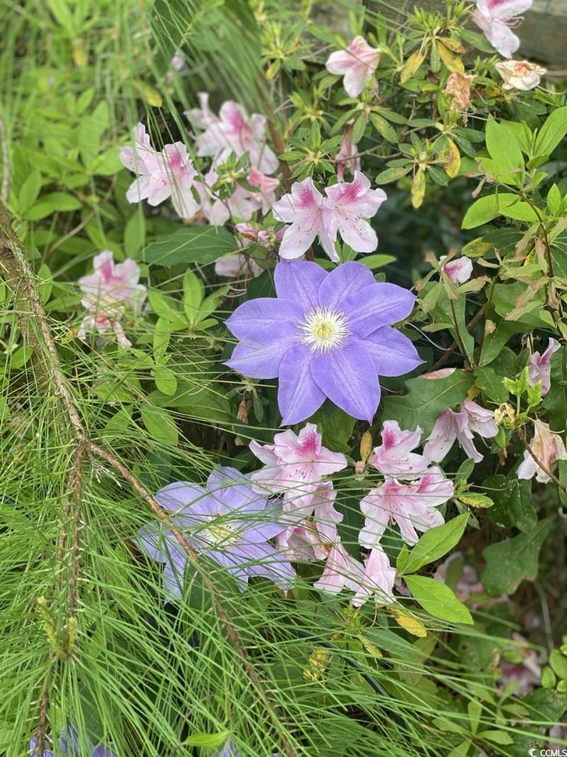 2459 Hunters Trail Photo 34