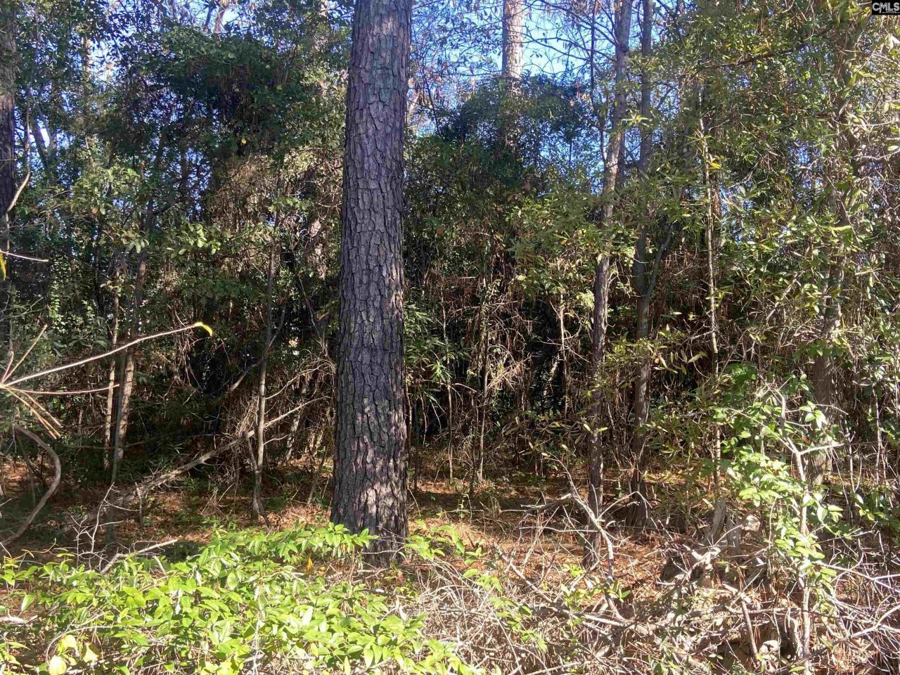 2493 Main Street Photo 13