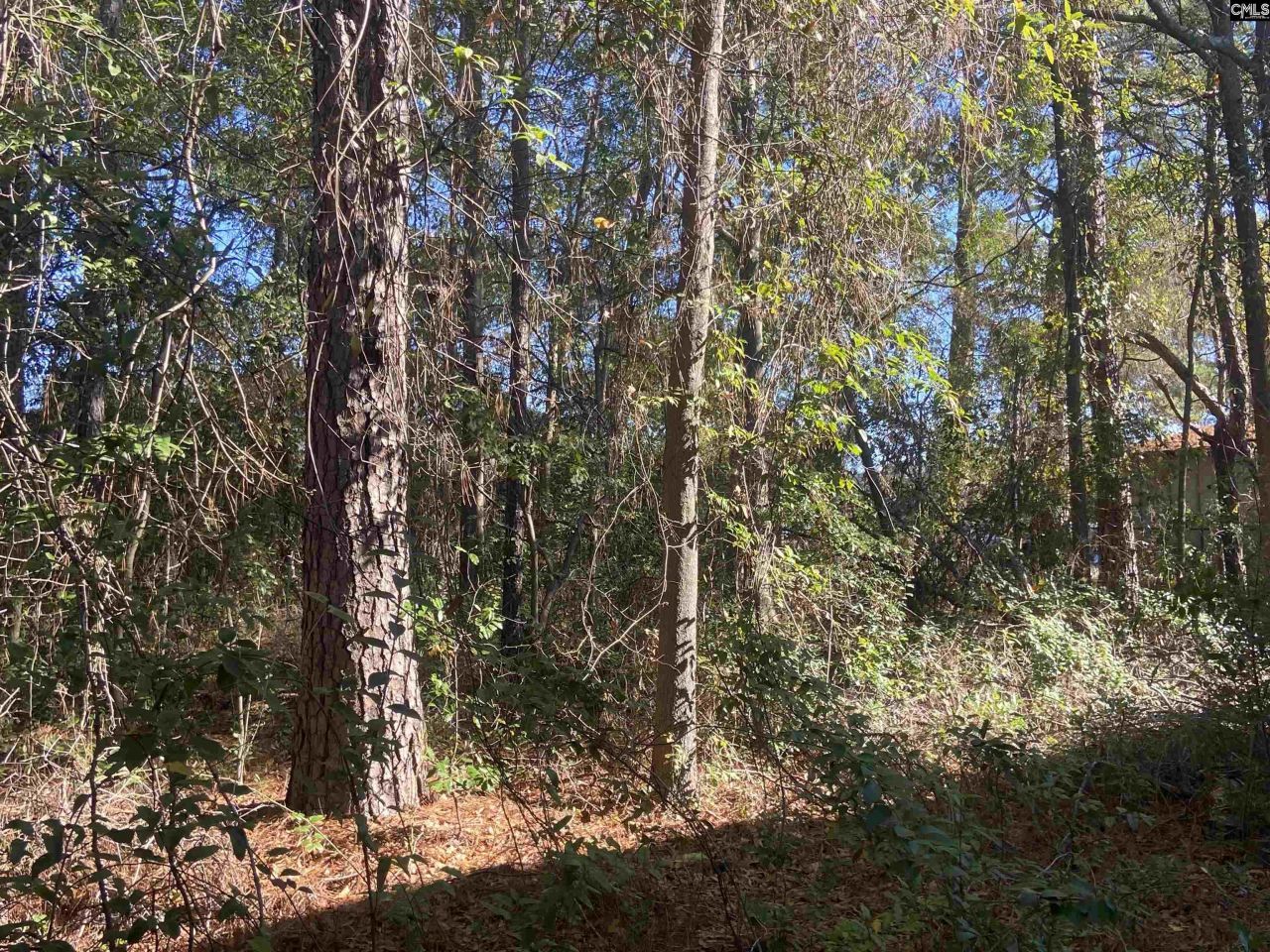 2493 Main Street Photo 15