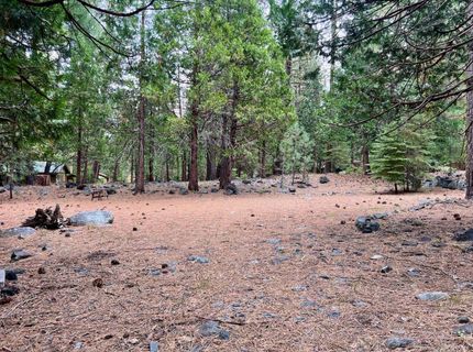 61 Paiute Trail, Graeagle, CA 96103 Photo