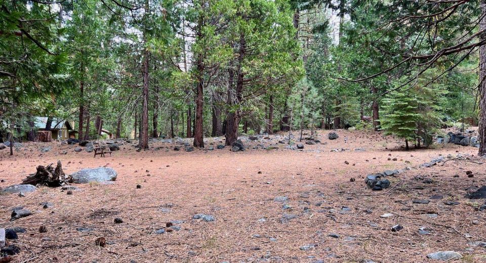 61 Paiute Trail, Graeagle, CA 96103 Photo