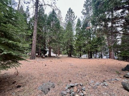 61 Paiute Trail, Graeagle, CA 96103 Photo