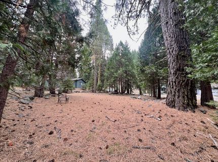 61 Paiute Trail, Graeagle, CA 96103 Photo