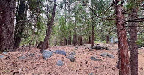61 Paiute Trail, Graeagle, CA 96103 Photo