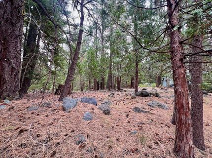 61 Paiute Trail, Graeagle, CA 96103 Photo