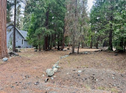 61 Paiute Trail, Graeagle, CA 96103 Photo