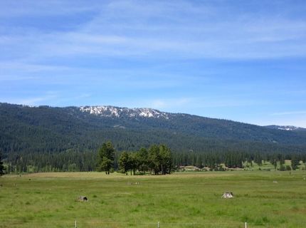 61 Paiute Trail, Graeagle, CA 96103 Photo