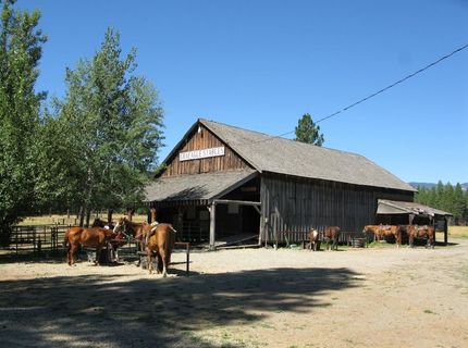 61 Paiute Trail, Graeagle, CA 96103 Photo