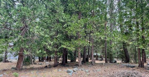 61 Paiute Trail, Graeagle, CA 96103 Photo