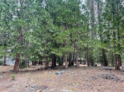 61 Paiute Trail, Graeagle, CA 96103 Photo