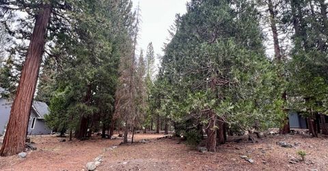 61 Paiute Trail, Graeagle, CA 96103 Photo