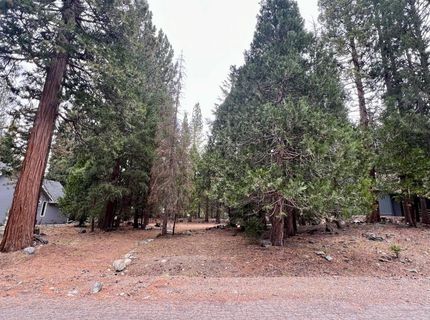 61 Paiute Trail, Graeagle, CA 96103 Photo