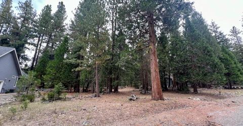 61 Paiute Trail, Graeagle, CA 96103 Photo