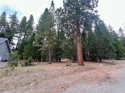 61 Paiute Trail, Graeagle, CA 96103 Photo