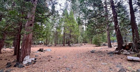 61 Paiute Trail, Graeagle, CA 96103 Photo