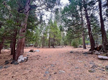 61 Paiute Trail, Graeagle, CA 96103 Photo
