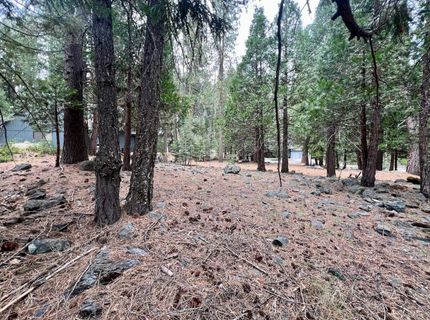 61 Paiute Trail, Graeagle, CA 96103 Photo