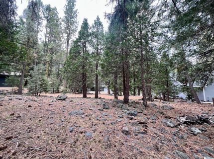 61 Paiute Trail, Graeagle, CA 96103 Photo