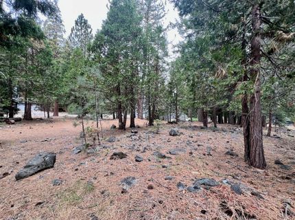 61 Paiute Trail, Graeagle, CA 96103 Photo