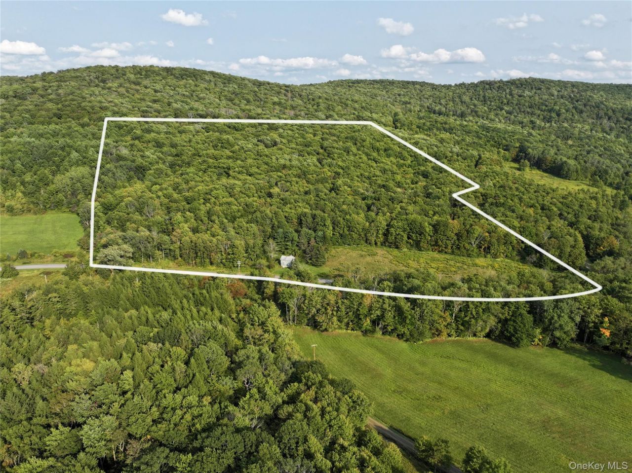 1990 Finch Hollow Road, Walton, NY 13856 Main Photo