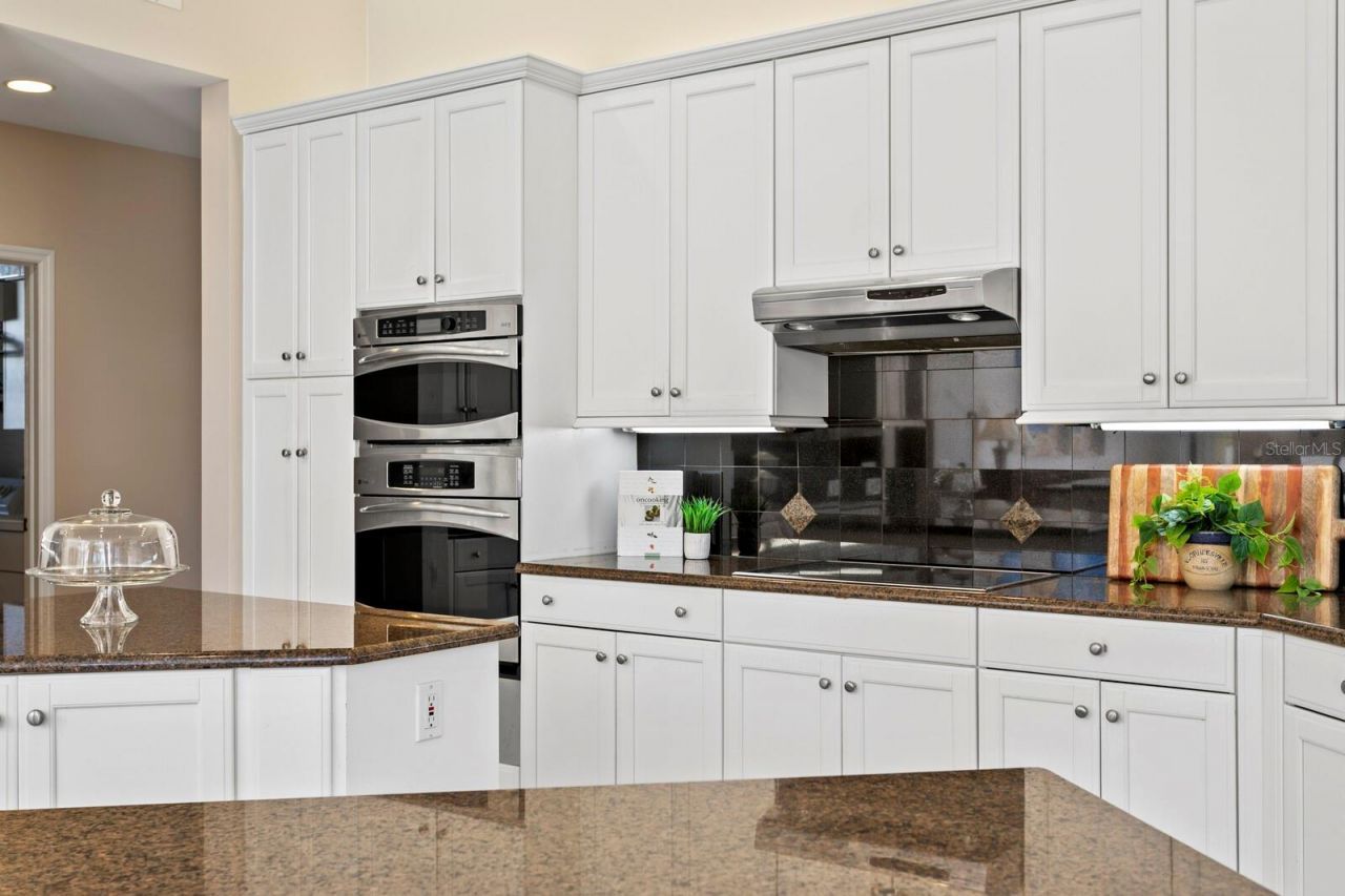 3550 Justin Drive, Palm Harbor, FL 34685 Photo