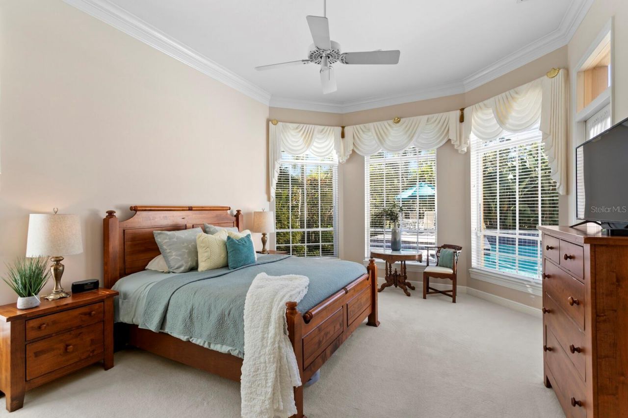 3550 Justin Drive, Palm Harbor, FL 34685 Photo