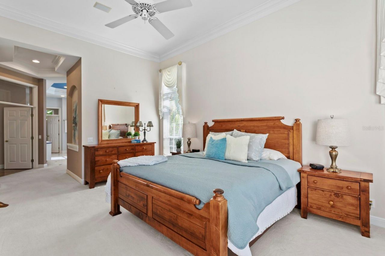 3550 Justin Drive, Palm Harbor, FL 34685 Photo