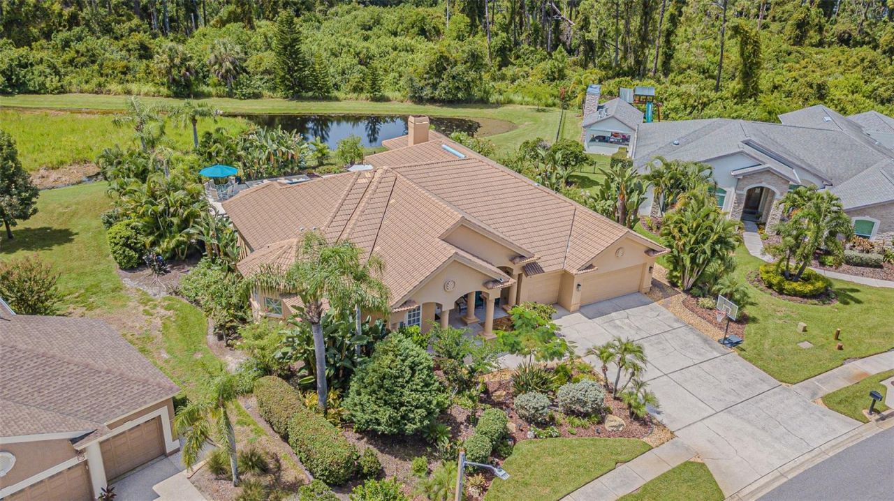 3550 Justin Drive, Palm Harbor, FL 34685 Photo